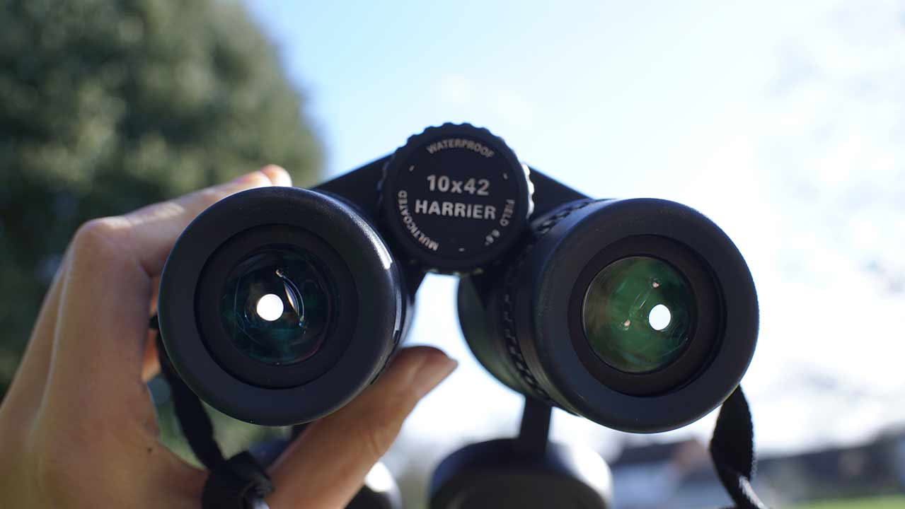 Choosing the Best Binoculars for Birdwatching RSPB Shop